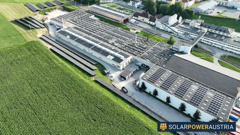 Luftaufnahme eines Gewerbeareals mit Photovoltaik auf mehreren Hallendächern